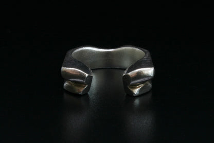 LB2 Ring