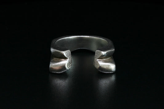 LB2 Ring