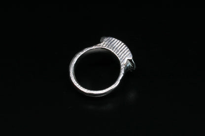 ECLIPSE Ring